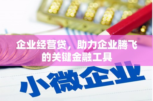 枞阳企业经营贷，助力企业腾飞的关键金融工具