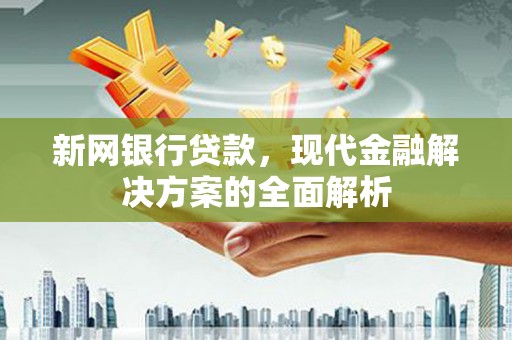 带岭新网银行贷款，现代金融解决方案的全面解析