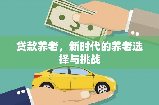 云龙贷款养老，新时代的养老选择与挑战
