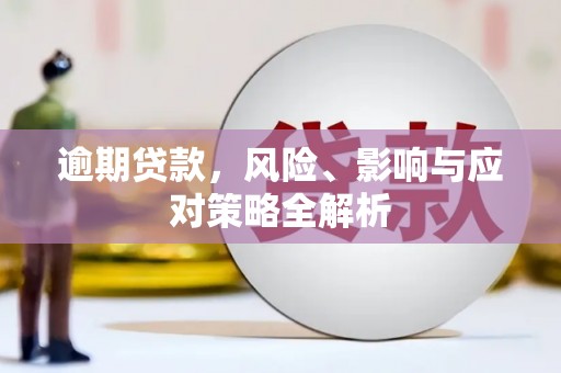 金阳逾期贷款，风险、影响与应对策略全解析