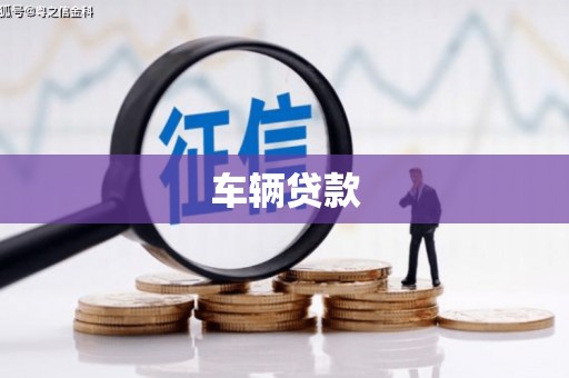 镇原车辆贷款