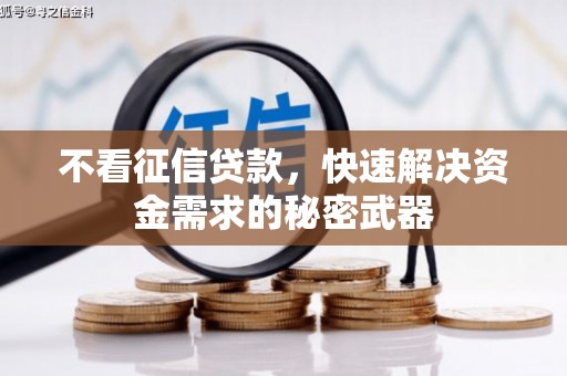芬园不看征信贷款，快速解决资金需求的秘密武器