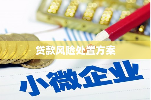 吕梁贷款风险处置方案