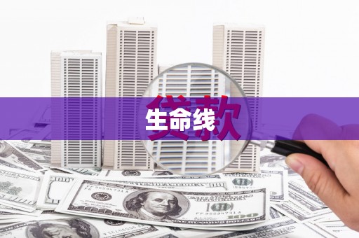 龙崎生命线