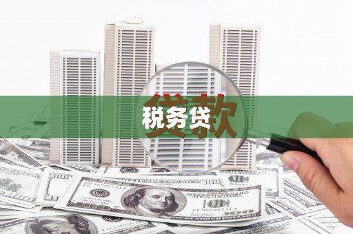 太保税务贷