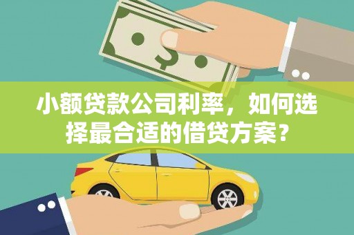 善化小额贷款公司利率，如何选择最合适的借贷方案？