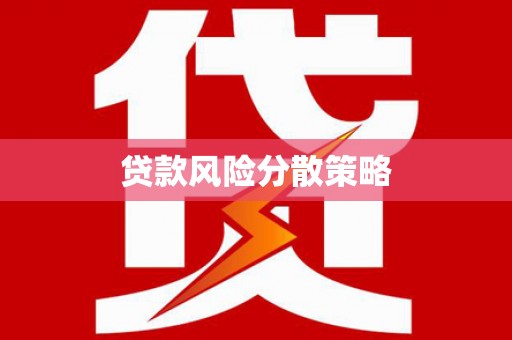 龙川贷款风险分散策略