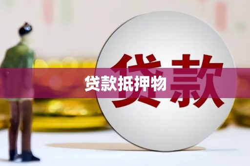 西海岸贷款抵押物