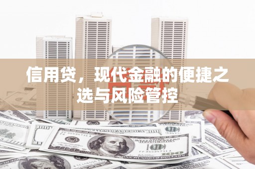 杂多信用贷，现代金融的便捷之选与风险管控
