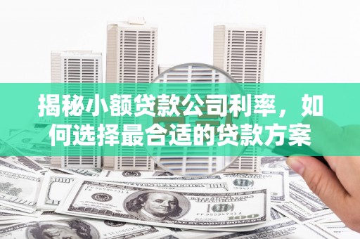 乌苏揭秘小额贷款公司利率，如何选择最合适的贷款方案