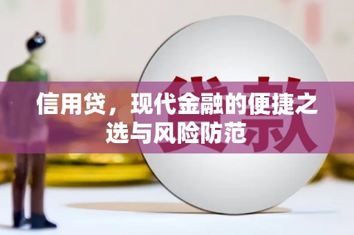 贺兰信用贷，现代金融的便捷之选与风险防范