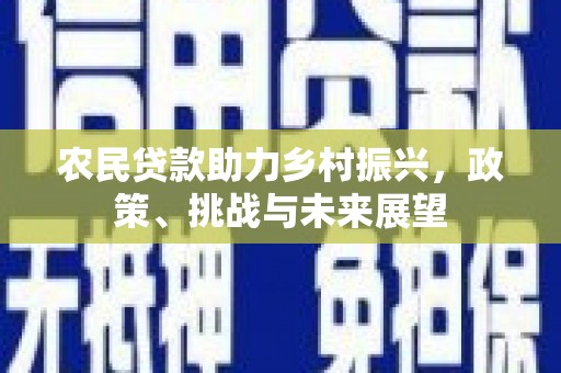 称多农民贷款助力乡村振兴，政策、挑战与未来展望