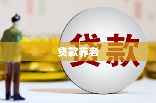 长岛贷款养老