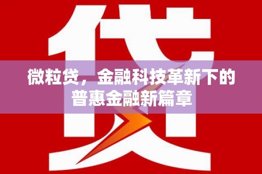 南市微粒贷，金融科技革新下的普惠金融新篇章