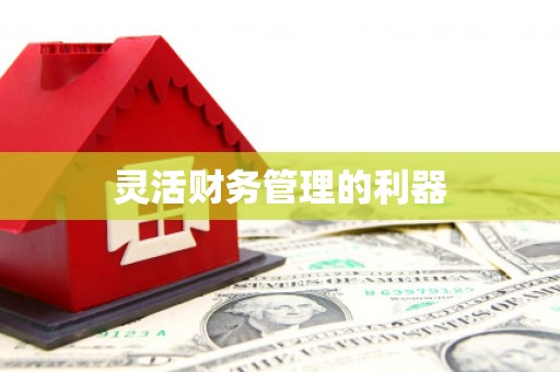 滑县灵活财务管理的利器