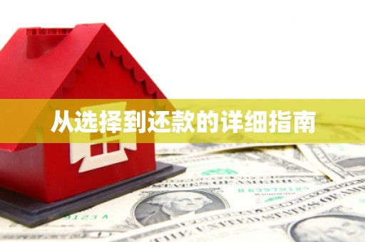 临湘从选择到还款的详细指南