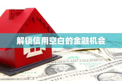 盐边解锁信用空白的金融机会