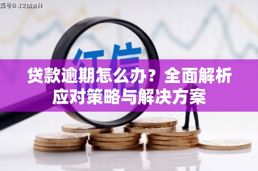 宝安贷款逾期怎么办？全面解析应对策略与解决方案
