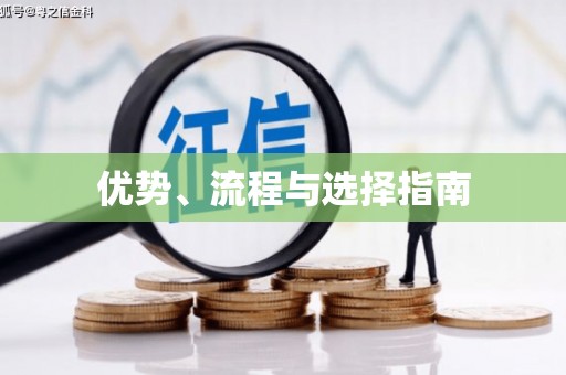南市优势、流程与选择指南