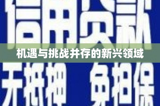 大村机遇与挑战并存的新兴领域