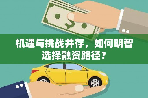 泌阳机遇与挑战并存，如何明智选择融资路径？