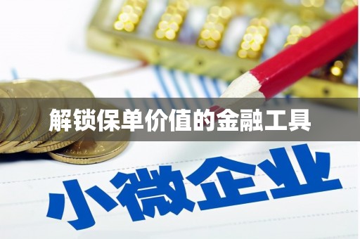望城解锁保单价值的金融工具